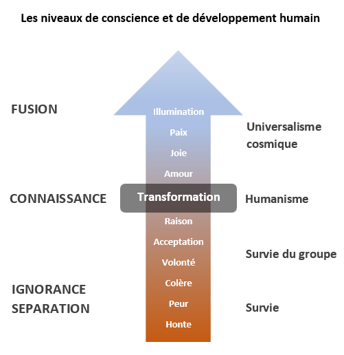 niveaux de conscience et de développement humain