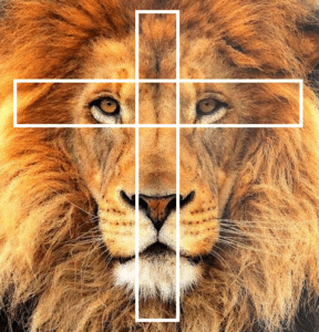 croix de vie symétrie