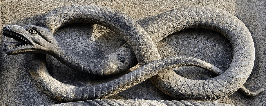 le symbolisme du serpent