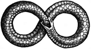 serpent symbole infini