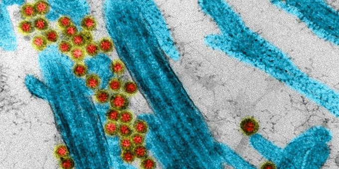 coronavirus philosophie et spiritualité