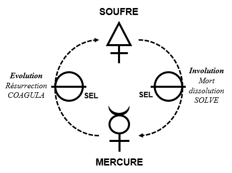 soufre sel mercure évolution involution