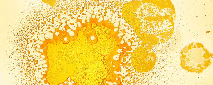 oeuvre au jaune alchimie citrinitas