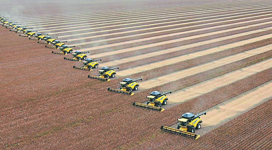 agriculture intensive civilisation occidentale