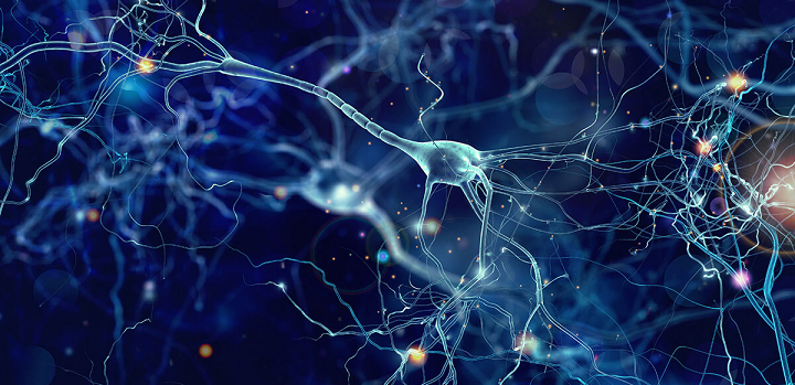 intelligence artificielle philosophie spiritualité