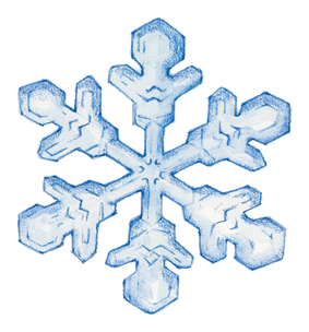 étoile des neiges
