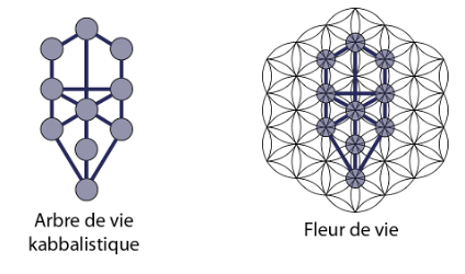 fleur de vie arbre de vie kabbalistique