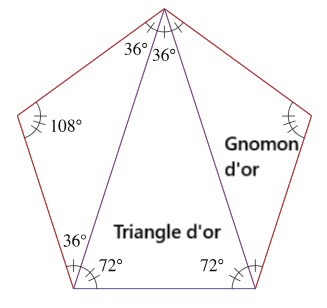 triangle d'or et gnomon d'or dans pentagone