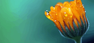réalisation de soi définition spirituelle