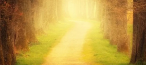 chemin de vie 1