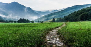chemin de vie 3