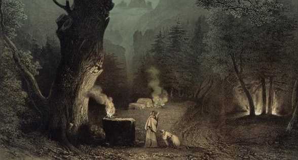 druidisme définition